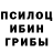 Псилоцибиновые грибы Magic Shrooms Hxndy