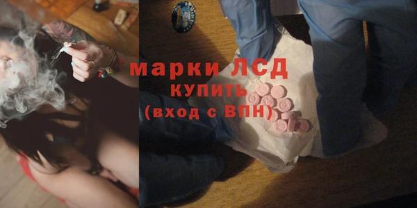 хмурый Алзамай