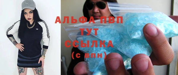 хмурый Алзамай