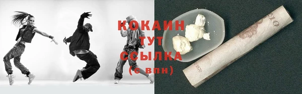 хмурый Алзамай